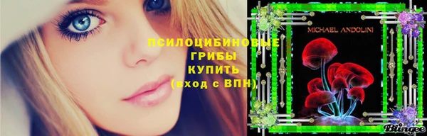 дживик Алексин