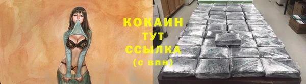 тгк Алзамай