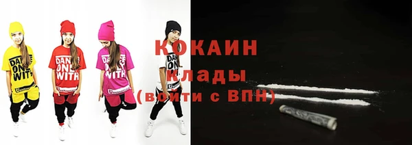 тгк Алзамай