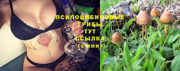 хмурый Алексеевка