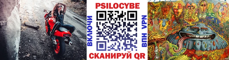 Галлюциногенные грибы Psilocybe  что такое наркотик  Шатура 